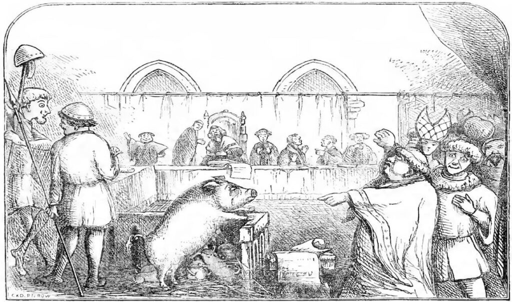 The Trial Of The Pig